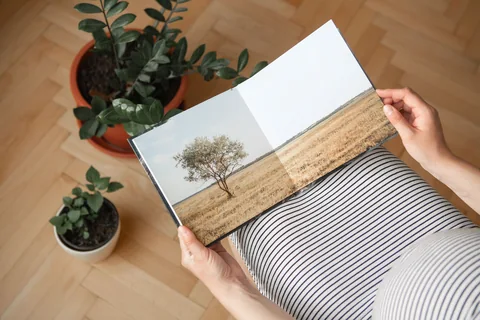 album reference
